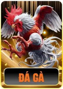 f8net
